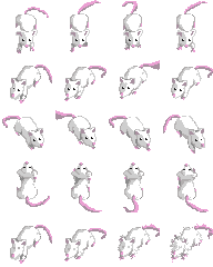 cat player spritesheet